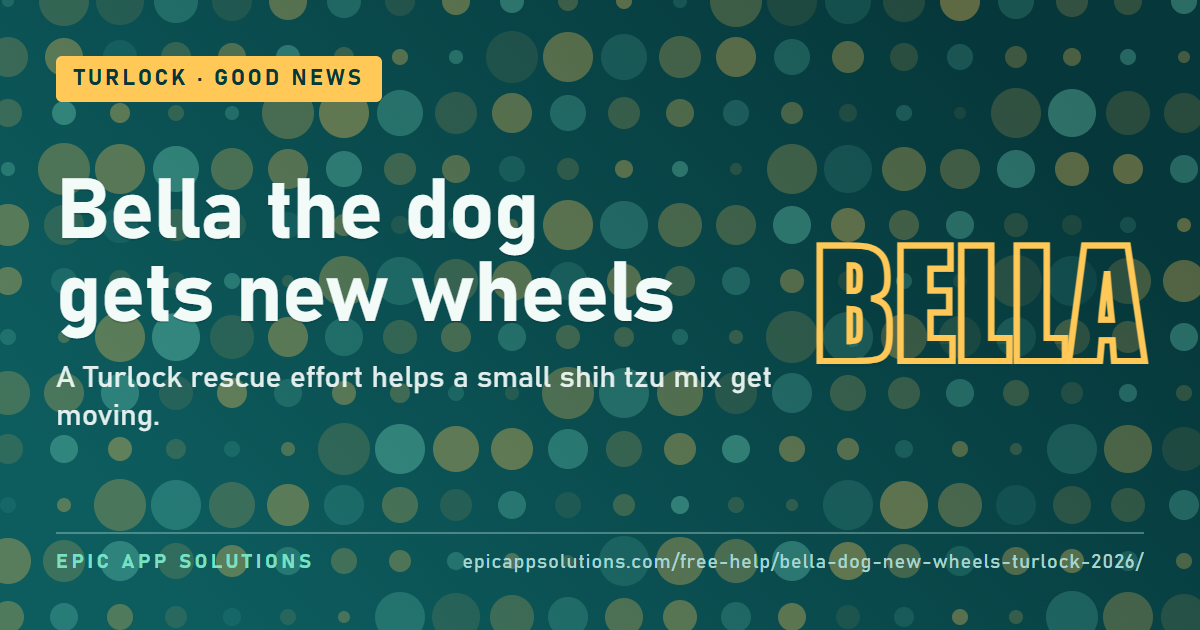A Little Dog Named Bella Gets a New Set of Wheels