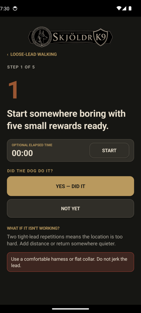 Five-step drill with YES / NOT YET buttons